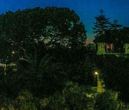 Apartment A 50 Passi Dal Tempio Di Apollo *